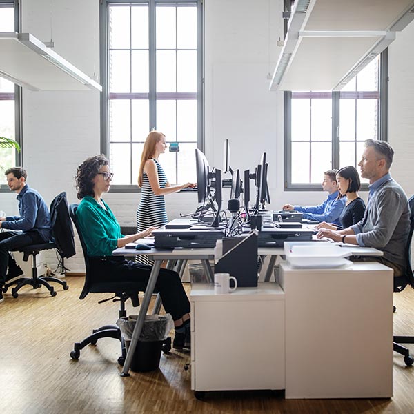 A group of office workers sit at computers in a modern open plan office